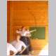 DSC01147.html